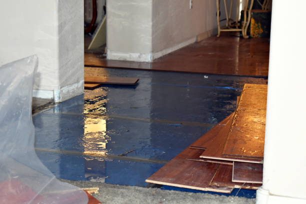 Professional Flood Cleanup technician working in Riverside, CT